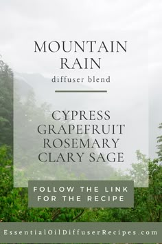 This mixture blends wood, citrus, and herbal scents for a refreshing aroma. The Mountain Rain essential oil diffuser blend includes cypress, grapefruit, rosemary, and clary sage essential oils. Cypress Essential Oil Blends, Thyme Essential Oil Diffuser Blends, Cypress Essential Oil Diffuser Blends, Cypress Diffuser Blends, Clary Sage Essential Oil Blends, Rosemary Essential Oil Blends, Birch Essential Oil, Essential Oil Mixtures, Cypress Essential Oil