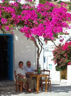 two men sitting at a table under a tree with purple flowers in the foreground