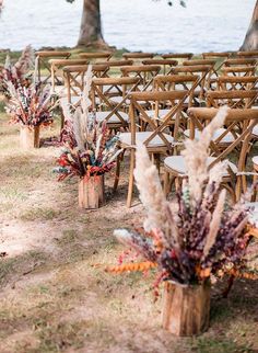 rows of wooden chairs lined up next to each other in front of trees and water