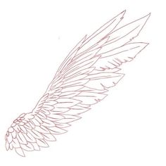 a drawing of an angel's wing on a white background with red marker lines