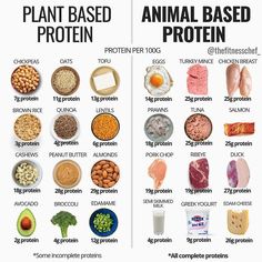 Plant Based Proteins, Protein Foods List, Resep Smoothie, Contaminated Food, Animal Based, Resep Diet, Protein Rich Foods, Food Charts