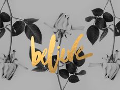 black and white photo with gold lettering that says,'believe'surrounded by roses