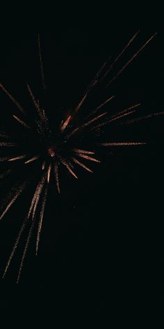 fireworks are lit up in the dark sky