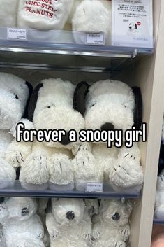 there are many white teddy bears on the shelf in this store and one is saying, forever a snoopy girl