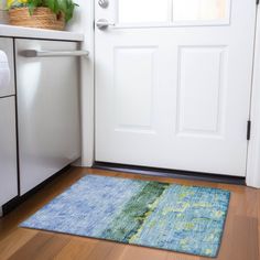 a blue rug on the floor in front of a white door with a potted plant next to it