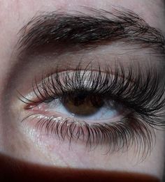 No Eye Bags, Cat Eye Surgery Before And After, Teary Eyes Aesthetique, Naturally Long Eyelashes, Eyelash Aesthetic, Subliminals Aesthetic, Pretty Eyelashes, Mixed Skin, False Lash Effect Mascara