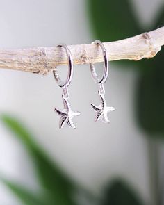 Adorn your ears with coastal charm - these 925 Silver Sea Star earrings combines elegance with a touch of the ocean.𓇼 The 925 sterling silver hooks are adorned with a Sea Star that resonates with the spirit of coastal living.  The Sea Star or Starfish is a symbol of resilience, regeneration, and the beauty of the ocean. These earrings adds a touch of coastal charm to any outfit.  Whether for yourself or as a thoughtful gift, these 925 Silver Sea Star earrings are the perfect choice.🌟 ▼  925 st Sea Earrings, Silver Jewlery, Star Earring, Earring Hoops, Seashell Earrings, Silver Sea, Starfish Earrings, Star Fish, Coastal Charm