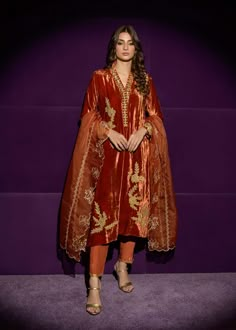 Velvet Dress Designs Indian, Velvet Suit Ideas, Velvet Embroidery Design, Velvet Punjabi Suits, Latest Velvet Suit Designs, Pakistani Velvet Suits, Dabka Embroidery, Velvet Dresses Outfit, Velvet Kurti