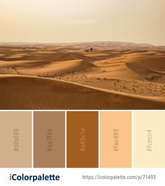 the desert is full of sand dunes, and there are many colors to choose from