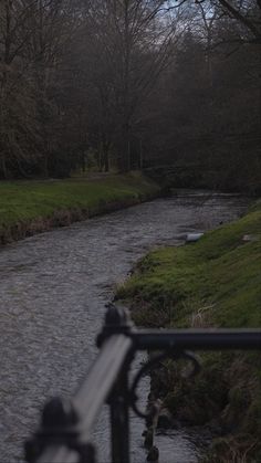 a river running through a lush green park next to a forest filled with lots of trees