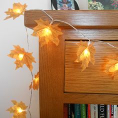 maple leaf string lights are hanging from the side of a book shelf in front of a bookshelf