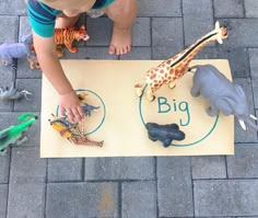 a little boy playing with toy animals on the ground next to a sign that says big