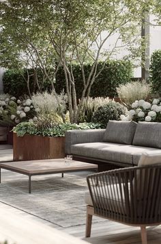 an outdoor living area with couches, tables and potted plants on the ground