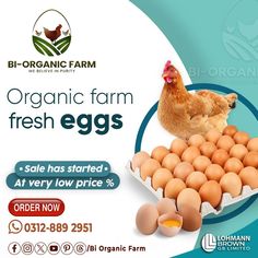 an advertisement for organic farm fresh eggs with chicken in carton on blue and white background