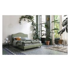 a bed sitting next to a window in a room with potted plants on the wall