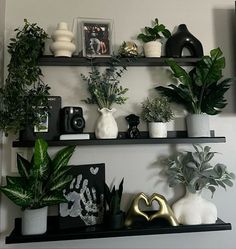 two black shelves with plants and pictures on them