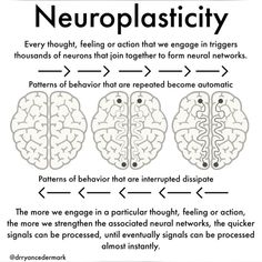 the neuroplasity diagram with three areas labeled in black and white text