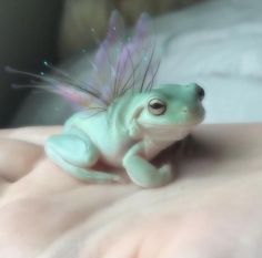 a small toy frog sitting on top of someone's hand with a fairy wing