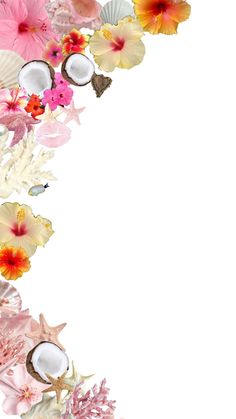 an arrangement of flowers and coconuts on a white background with space for your text