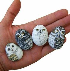 three owls sitting on top of each other in the palm of someone's hand