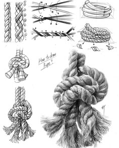 several different ropes and knots drawn in pencil