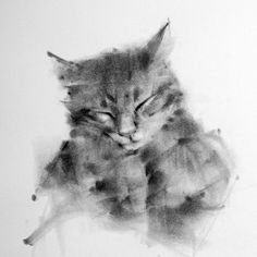 Animal Charcoal Drawing. Cat Drawing Charcoal, Charcoal Art Animals, Charcoal Animal Drawings, Charcoal Animals, Charcoal Illustration, Charcoal Drawing Ideas, Cat Human