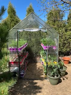 a greenhouse filled with lots of potted plants