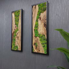 two framed pictures hanging on the side of a wall next to a potted plant