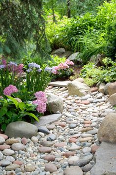 there are many rocks and flowers in the garden