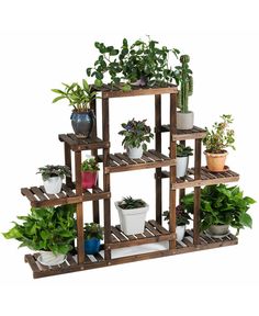 a wooden shelf filled with potted plants