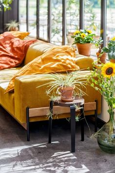 a living room with sunflowers and plants in vases on the floor next to couches