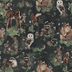 an animal themed wallpaper with many different animals