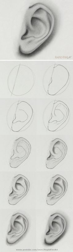 the steps in how to draw an ear with different shapes and sizes, including one for each