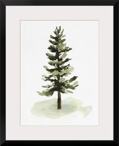 a watercolor painting of a pine tree