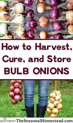 a sign that says how to harvest, care and store bulb onions