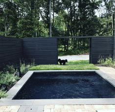 a small pool in the middle of a yard with a dog standing on it's side