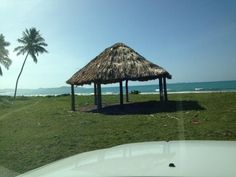 a thatch roofed hut sitting on top of a lush green field next to the ocean