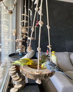 several birds are perched on top of a tree stump in front of a glass window