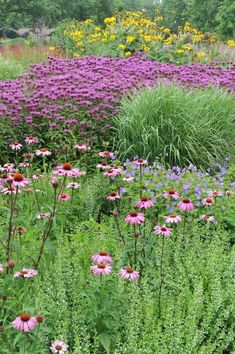 a field full of purple and yellow flowers next to tall grass with trees in the background