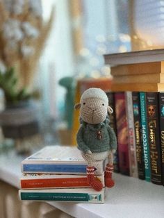 a stuffed animal sitting on top of a stack of books in front of a bookcase