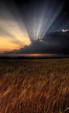 the sun shines brightly through clouds over a wheat field