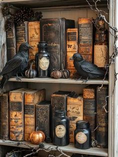 two black crows sitting on top of books in a book shelf filled with old books