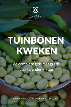 a bowl filled with green beans next to some leaves and the words tunbonen kweken