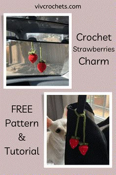 the crochet strawberries charm is shown in three different pictures, including a cat and