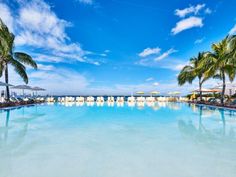 an empty swimming pool surrounded by palm trees