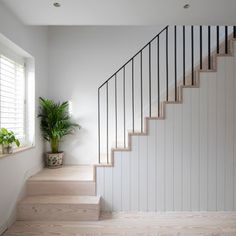 there is a potted plant next to the stairs in this house with white walls and wood floors