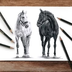 two horses standing next to each other with pencils in front of them on a table