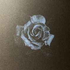 a black and white drawing of a rose on a brown paper with the words always arttudio written below it