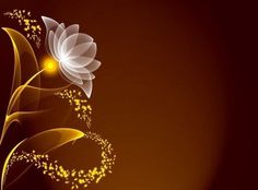 an abstract floral background with gold and white flowers on a dark brown background is the centerpiece of this image