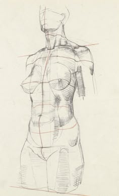 a drawing of a woman's torso with lines drawn on the back and sides